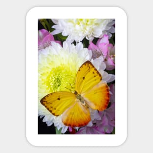 Large Yellow Butterfly On With Mum Sticker